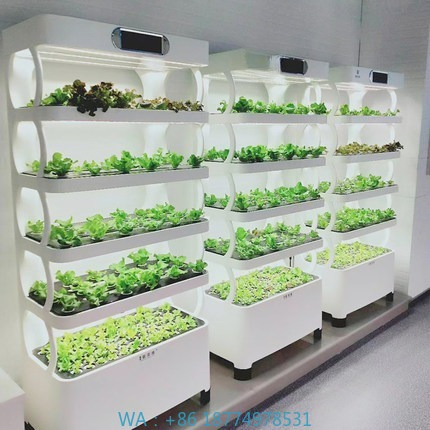 Hydroponic Automated Grow Syst - Home Automation Diy recension och pris